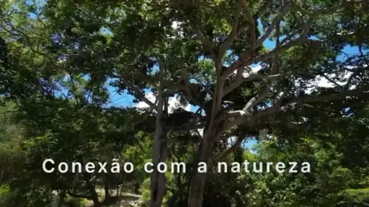 Lote/Terreno à venda, 40000m² no , Palmeiras