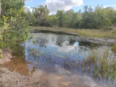 Fazenda/Sítio à venda no , Santo Antônio de Leverger