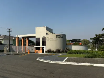 Casa de Condomínio com 4 Quartos à venda, 400m² no Pineville, Pinhais