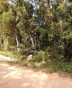 Lote/Terreno à venda, 1600m² no Jardim das Cerejeiras, Cotia