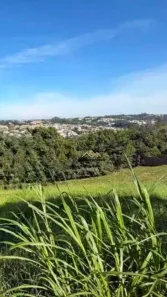 Lote/Terreno à venda, 1500m² no Jardim Primavera, Louveira