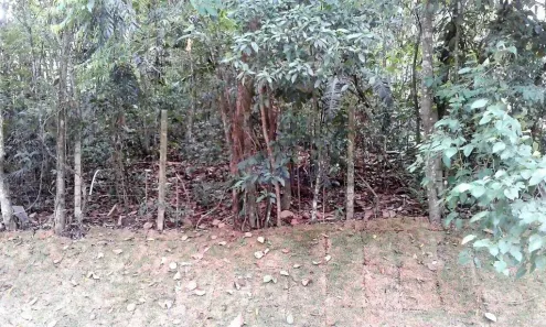 Lote/Terreno à venda, 500m² no Granja Carneiro Viana, Cotia