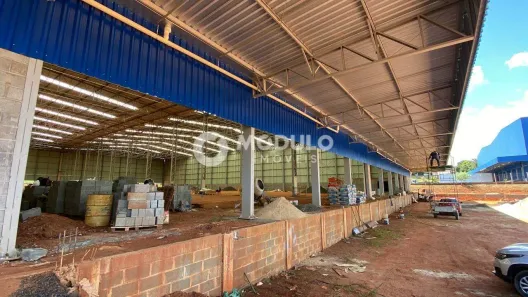 Galpão/Depósito/Armazém para alugar, 3500m² no Distrito Industrial, Uberlândia