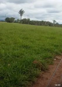 Fazenda/Sítio à venda no Jussara, Jussara
