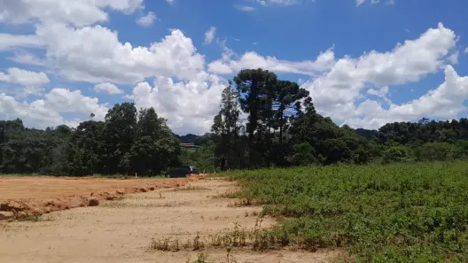 Lote/Terreno à venda, 500m² no Cachoeira, Cotia