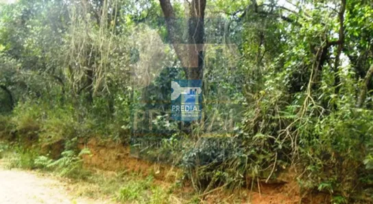 Fazenda/Sítio à venda, 5000m² no Loteamento Recreio Campestre, São Carlos