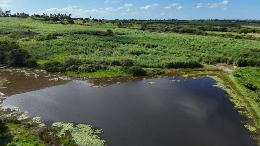 Fazenda/Sítio com 2 Quartos à venda, 850000m² no , Monte Alegre