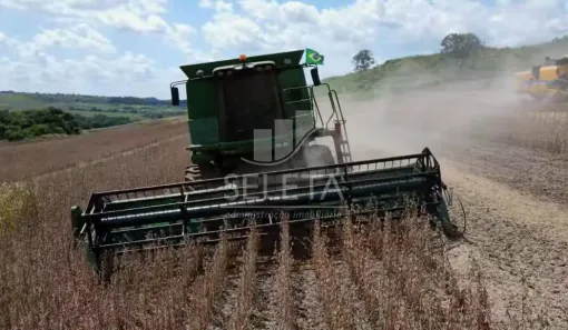 Fazenda/Sítio com 3 Quartos à venda, 300m² no , Ramilândia