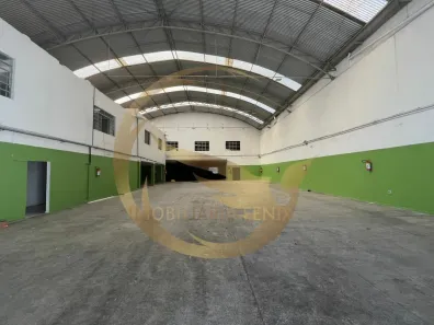 Galpão/Depósito/Armazém para alugar, 1200m² no Vila Maria Baixa, São Paulo