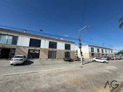 Apartamento com 2 Quartos para alugar, 56m² no Aririú da Formiga, Palhoça