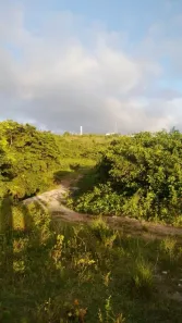 Fazenda/Sítio com 3 Quartos à venda, 4777m² no Centro, Conde
