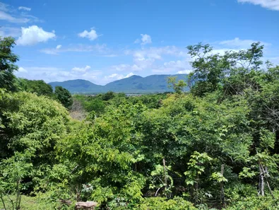 Lote/Terreno à venda, 88000m² no Guabiraba, Maranguape