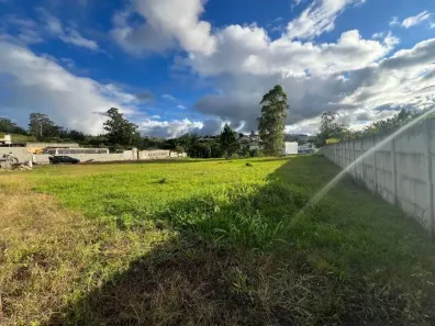 para alugar, 4000m² no Guaturinho, Cajamar