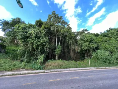 Lote/Terreno à venda, 2900m² no Prado, Biguaçu
