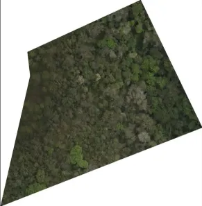 Lote/Terreno à venda, 7177m² no Fazenda Sossego (São Francisco), Cabreúva