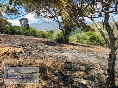 Lote/Terreno à venda, 5000m² no , Paty do Alferes