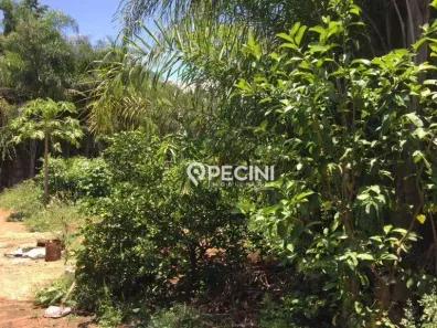 Lote/Terreno à venda, 250m² no Recanto das Pedras (Assistência), Rio Claro