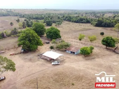 Fazenda/Sítio à venda, 1m² no , Dueré