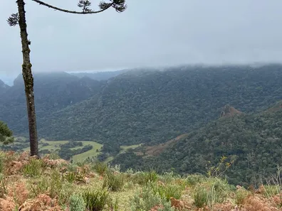 Fazenda/Sítio à venda, 1760000m² no , Urubici