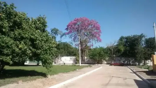 Lote/Terreno à venda, 180m² no Retiro São Joaquim, Itaboraí