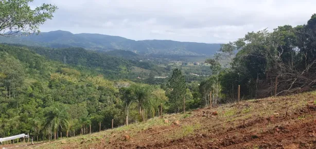 Lote/Terreno à venda, 5050m² no Ratones, Florianópolis