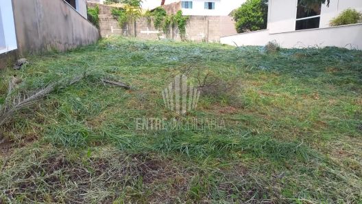 Lote/Terreno à venda, 329m² no Chácara Santa Margarida, Campinas