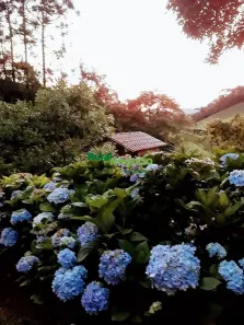Fazenda/Sítio com 2 Quartos à venda, 1m² no , Virgínia