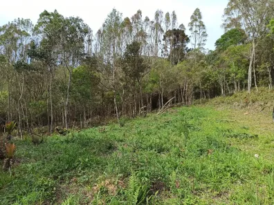 Fazenda/Sítio à venda, 69200m² no Centro, Cunha