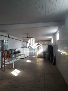 Imóvel Comercial com 8 Quartos à venda, 355m² no Vila Mathias, Santos