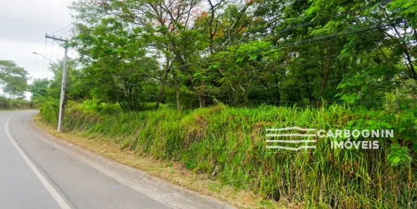 Lote/Terreno à venda, 12348m² no Santa Luzia, Caçapava