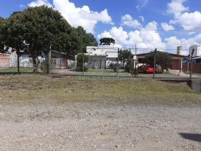 Lote/Terreno para alugar, 25000m² no Pedancino, Caxias do Sul