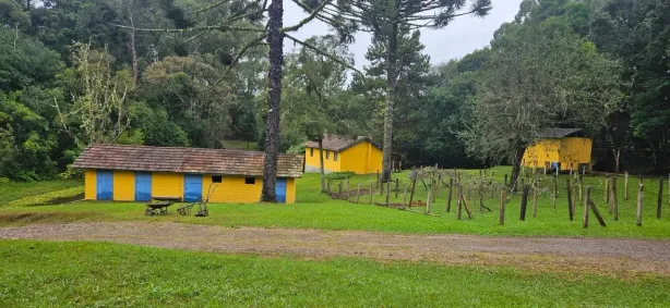 Lote/Terreno à venda, 45000m² no Colônia Murici, São José dos Pinhais