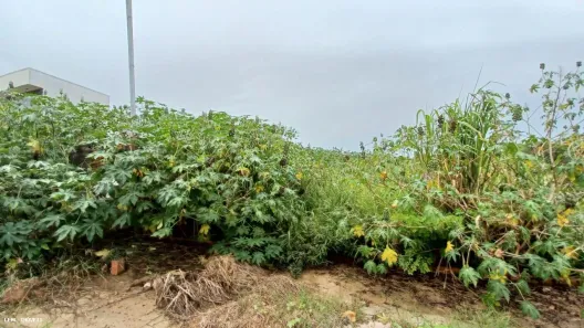 Lote/Terreno à venda, 180m² no Residencial Bongiovani, Presidente Prudente