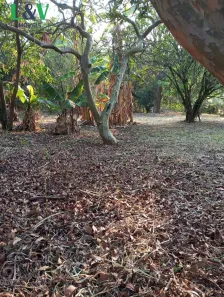 Lote/Terreno à venda, 1400m² no Monterrey, Louveira