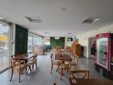 Casa com 3 Quartos à venda, 396m² no Jardim Paulista, Ribeirão Preto