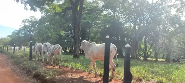 Fazenda/Sítio à venda, 20000m² no Zona Rural, Paraopeba