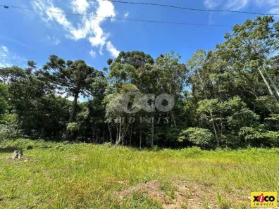 Lote/Terreno à venda, 757m² no Dos Boêmios, Nova Petrópolis