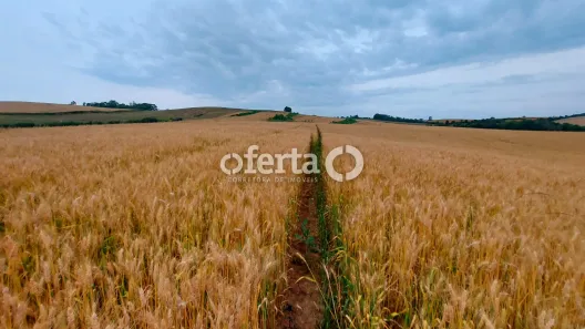 Fazenda/Sítio à venda, 484000m² no , Antônio Olinto