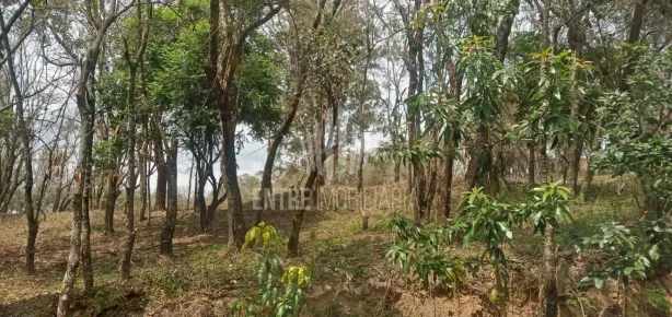 Lote/Terreno à venda, 1630m² no Colinas do Ermitage (Sousas), Campinas