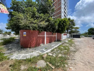 Casa com 6 Quartos para alugar, 300m² no Casa Caiada, Olinda