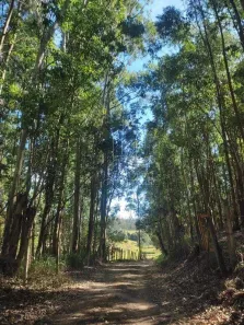 Fazenda/Sítio com 2 Quartos à venda, 100m² no , Vargem
