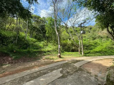 Lote/Terreno à venda, 3990m² no Pedro do Rio, Petrópolis