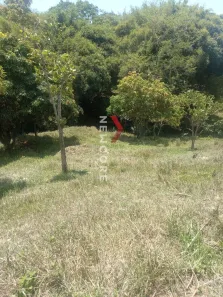 Lote/Terreno à venda, 1m² no , São José da Lapa