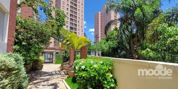 Apartamento com 3 Quartos à venda, 64m² no Vila Butantã, São Paulo