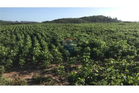 à venda, 62500m² no Encruzilhada do Sul, Encruzilhada do Sul