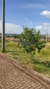 Lote/Terreno à venda, 624m² no , Porto Rico