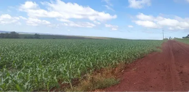 Fazenda/Sítio à venda, 4404400m² no , Cornélio Procópio