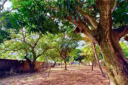 Lote/Terreno à venda, 1214m² no Ponta Negra, Natal