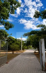 Fazenda/Sítio com 4 Quartos à venda, 600m² no , Cidelândia