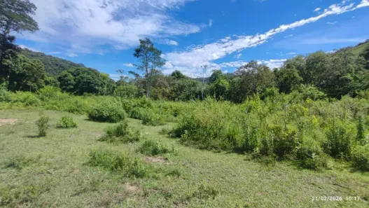 Fazenda/Sítio à venda, 90000m² no Papucaia, Cachoeiras de Macacu
